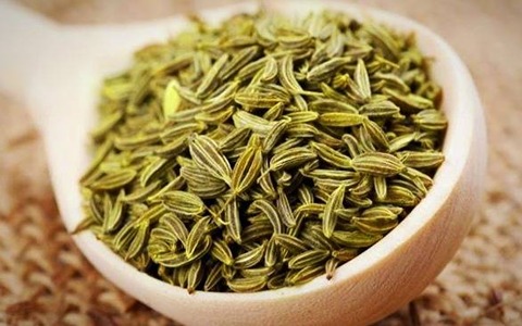 تصویر 1 از فروش زیره سبز تازه + قیمت خرید به صرفه